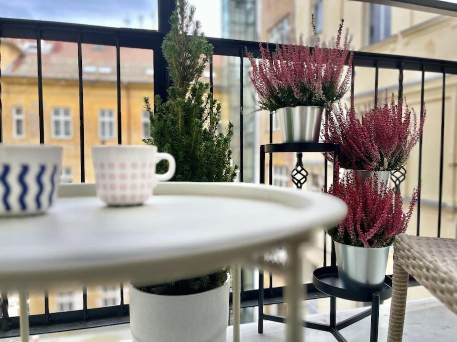Apartamento Sunlit -